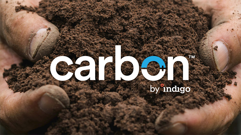 Soil Gets Smart as Microsoft Joins Carbon Market