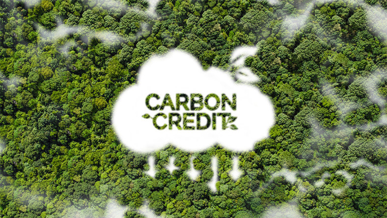 MSU Cracks Carbon Code with New Soil System