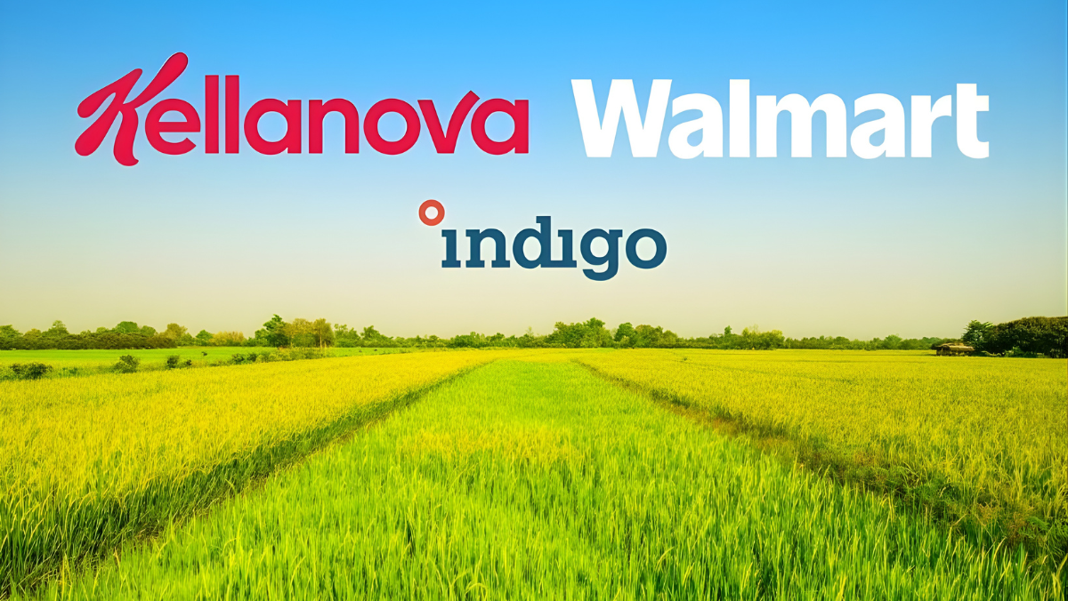 Logos of Walmart, Kellanova and Indigo displayed above a wide green agricultural field under a clear sky