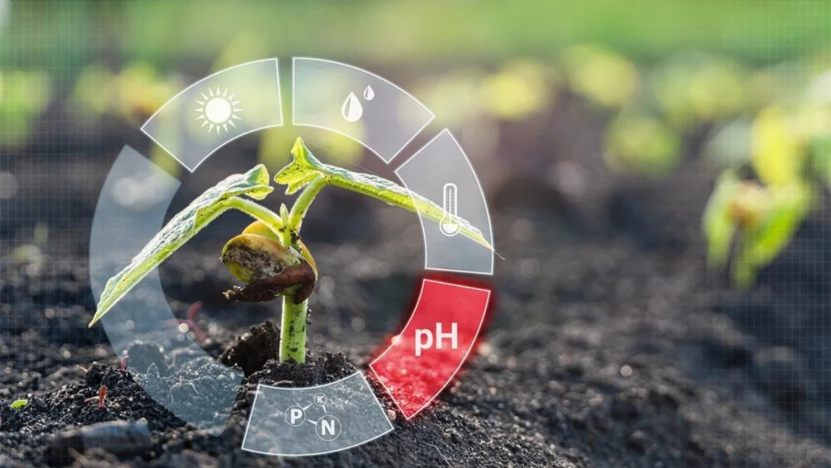 Seedling with digital soil indicators showing moisture, pH and nutrients