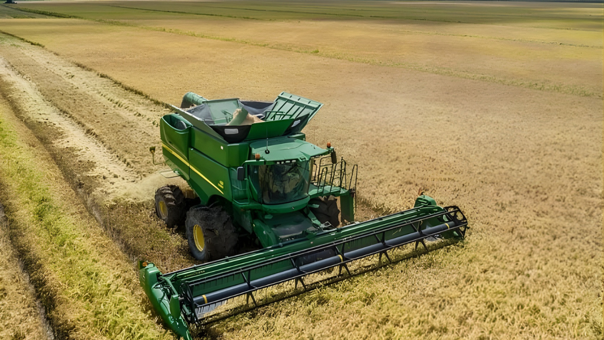 Combine harvester cutting rice in large field during regenerative farming operation