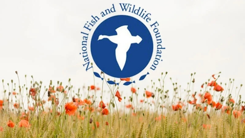 National Fish and Wildlife Foundation logo over a flowering agricultural field