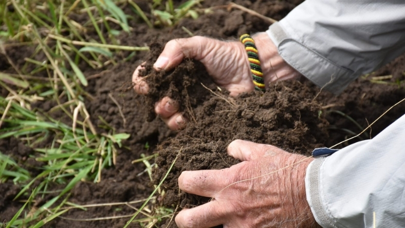 Farmer examining soil by hand to assess soil health in an agricultural field
