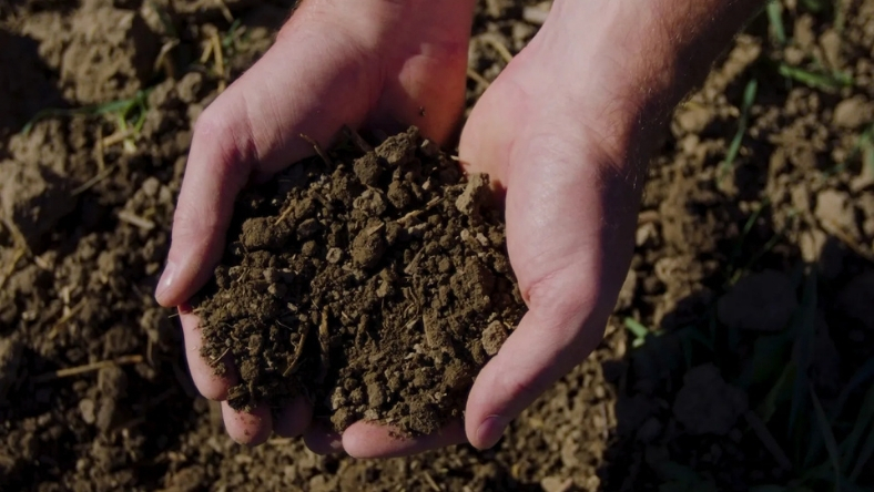 Hands holding soil in agricultural field