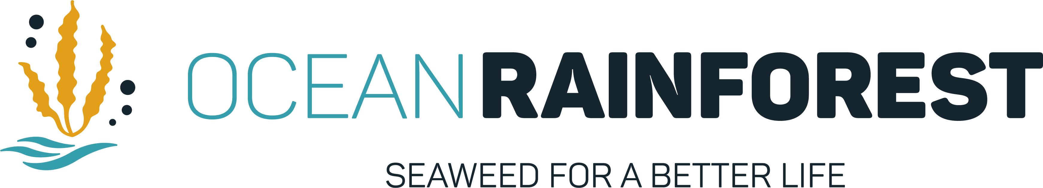 Ocean Rainforest Inc