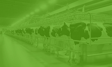 DAIRYCON USA 2026
