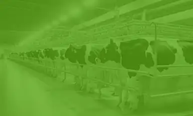 DAIRYCON USA 2026